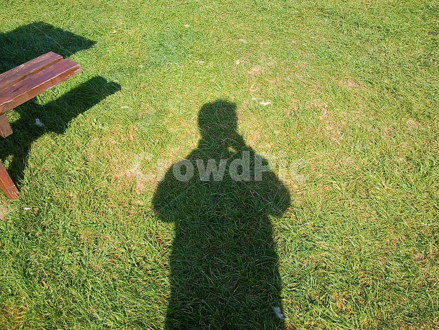 plant,식물,grass,잔디,그림자,초상화,사색,셀카,자신