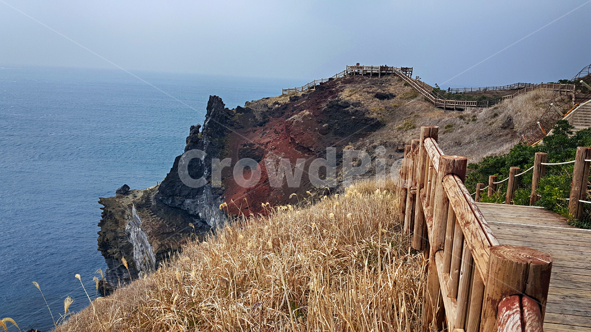 송악산,둘레길,제주도,서귀포시,바다,길,절벽,해안절벽,자연,풍경,nature,landscape,제주도,jeju,jeju island