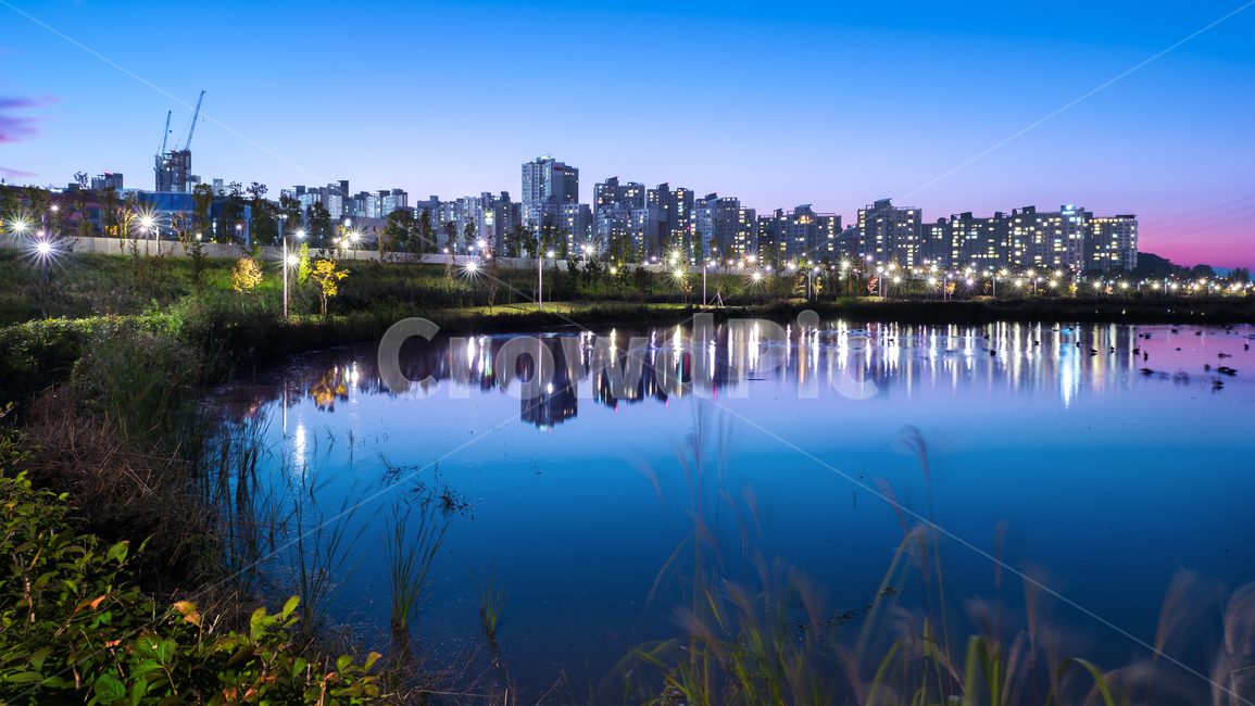 한강신도시,운양동,도시야경,억새,노을,휴식,수면,반영,오리,철새,조명,베드타운,김포,조류생태공원,에코파크,water,outdoors,물,옥외,자연,nature,도시,풍경,city,landscape,한국도시풍경,한국도시경관,korea cityscape
