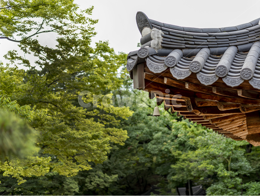 길상사,한옥,지붕,사찰,나무,한국전통,한국문화,korean traditional,korean culture,건축물,건물외관,exterior,building,structure,architecture,construction