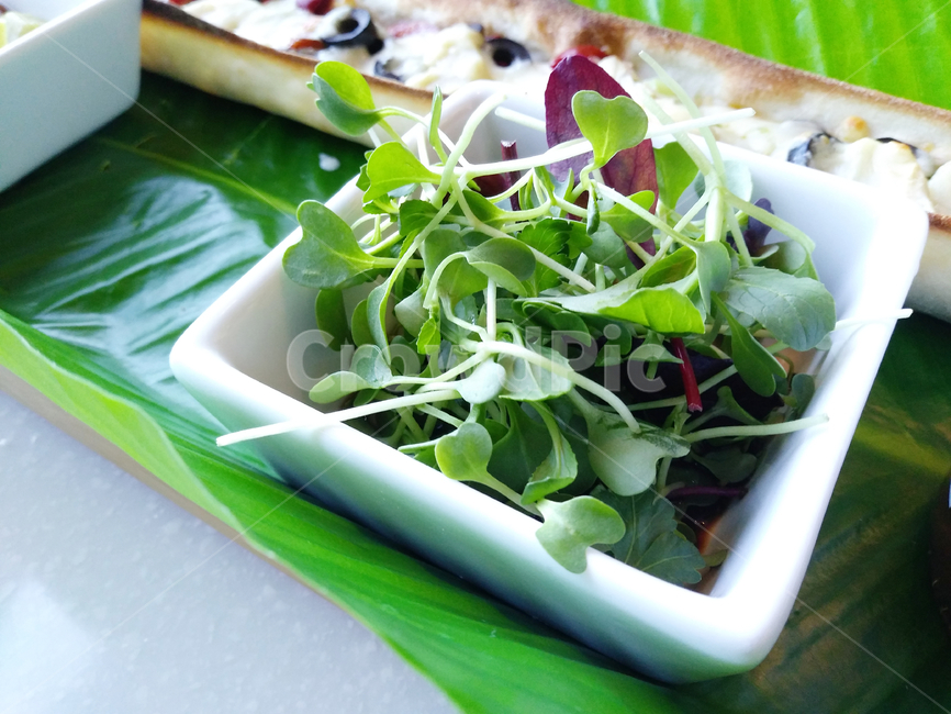 plant,식물,food,음식,야채,채소,초록색,새싹채소,샐러드,채식,그릇