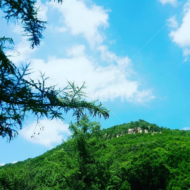 풍경,맑은하늘,경치,힐링,산