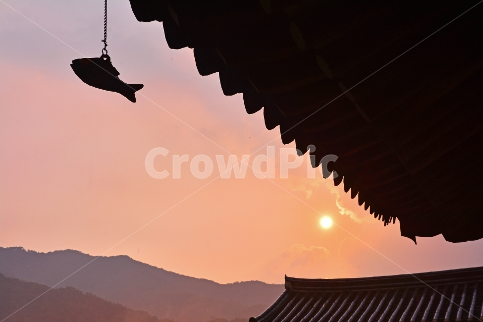 풍경소리,노을,해질무렵,석양,산사,TEMPLE,SUNSET,SUN,아름다움,적막,고요함,인적없는,물고기,산,하늘,기와집,처마,전통,문화,한국적,KOREAN,분위기,느낌,필링,FEELING,SENSIBLE,EMOTION,감성,CULTURE,풍경,힐링,명상,OLD,한국전통,한국문화,korean traditional,korean culture,건축물,건물외관,exterior,building,structure,architecture,construction