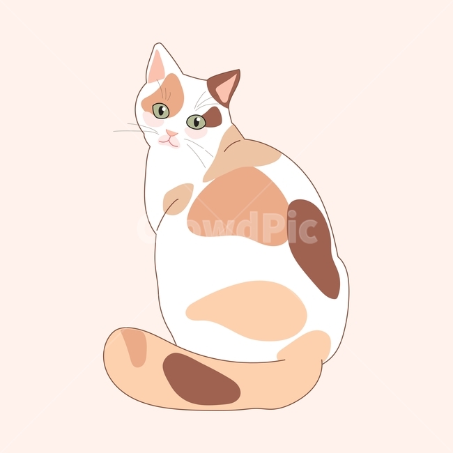 hand drawing,line,cat,animal,illustration,vector,tricolor,cute,looking back,spotted