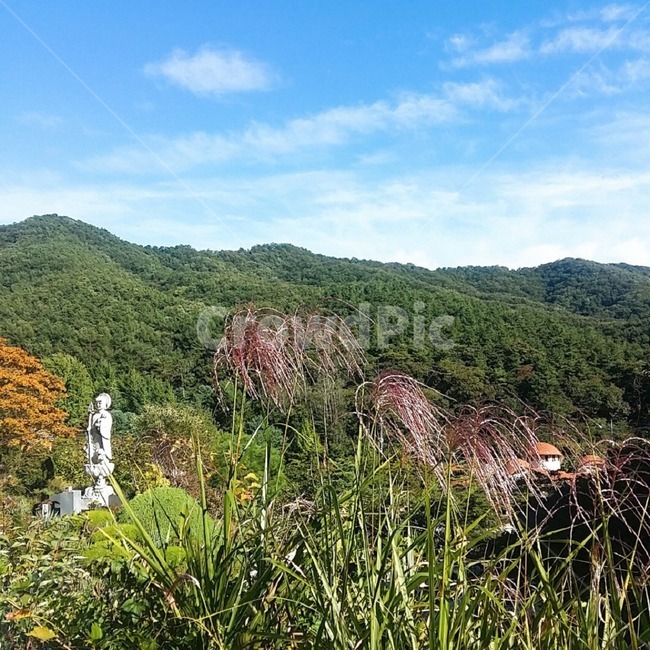 산,풀,초록,푸름,여름,하늘,평온,안정