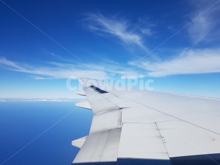 날개,비행,꿈,희망,비상,여행,휴가,traveling,vacation,trip,교통,교통수단,traffic,transportation,aircraft,항공기,vehicle,차량,airplane,비행기,nature,자연