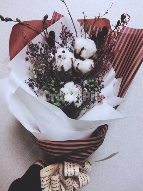 목화,꽃다발,어머니의사랑,목화꽃말,생일,꽃,flower,기념일,축하,anniversary,congratulation,celebrate,celebration