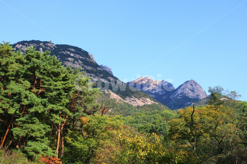 북한산,산,자연,풍경,나무,공원,국립공원,산책로,등산로,원효봉,북한산국립공원,하늘,맑은하늘,만경대,노적봉,바위산,전나무,식물,자연,풍경,nature,landscape