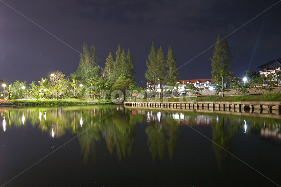 야경,공원,반사,nightview,nightscenery,nightscape,park,garden,reflection,plant,식물,tree,나무,물,nature,자연,야경,밤,풍경,nightscape,night,landscape