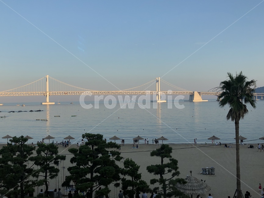 광안대교,여름,바다,부산,노을