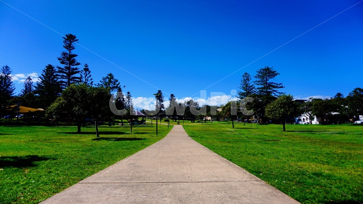 New Zealand South Island,queenstown,Watsons Bay,australia,New Zealand,Lake Wakatipu,superb view,newzealand,a flaming sunset,road,wakatipu,sunset,sight,austrailia,robertsonpark,watsonsbay,lake,lakewakatipu,sundown,park,Robertson Park