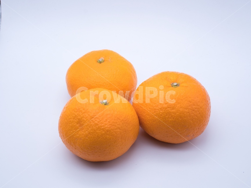 food,음식,citrusfruit,감귤류과일,fruit,orange,주황색,plant,식물,귤,오렌지,과일,겨울,열매,과일,열매,fruit
