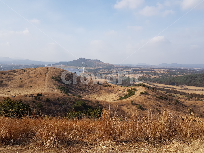 따라비오름,오름,제주도오름,제주악,따라비,산길,산,갈대밭,갈대,산정상,제주도,jeju,jeju island,outdoors,옥외,nature,자연,hill,언덕