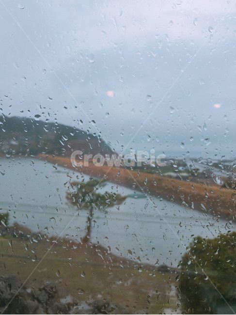 비오는날,창밖,비오는날창문,유리,비,rain,비오는날풍경