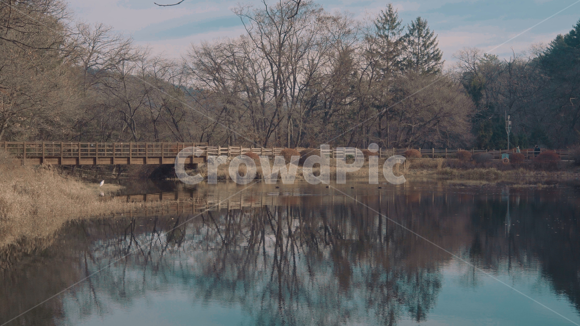 호수,자연,풍경,힐링,nature
