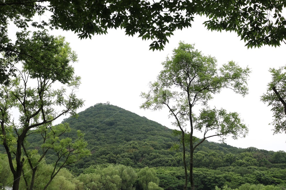 나무,하늘,자연,산,초록,tree,ki,sky,sora,nature,mountain,yama,green,midori,자연,풍경,nature,landscape,outdoors,옥외,hill,언덕