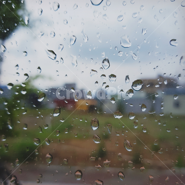 비,물방울,창문,감성,빗방울,물,버스안,창밖,비오는날,흐린날,rain,water,잿빛,회색빛,우울한,센치한,감성적인,글귀배경,비,비오는날,rain,rainy