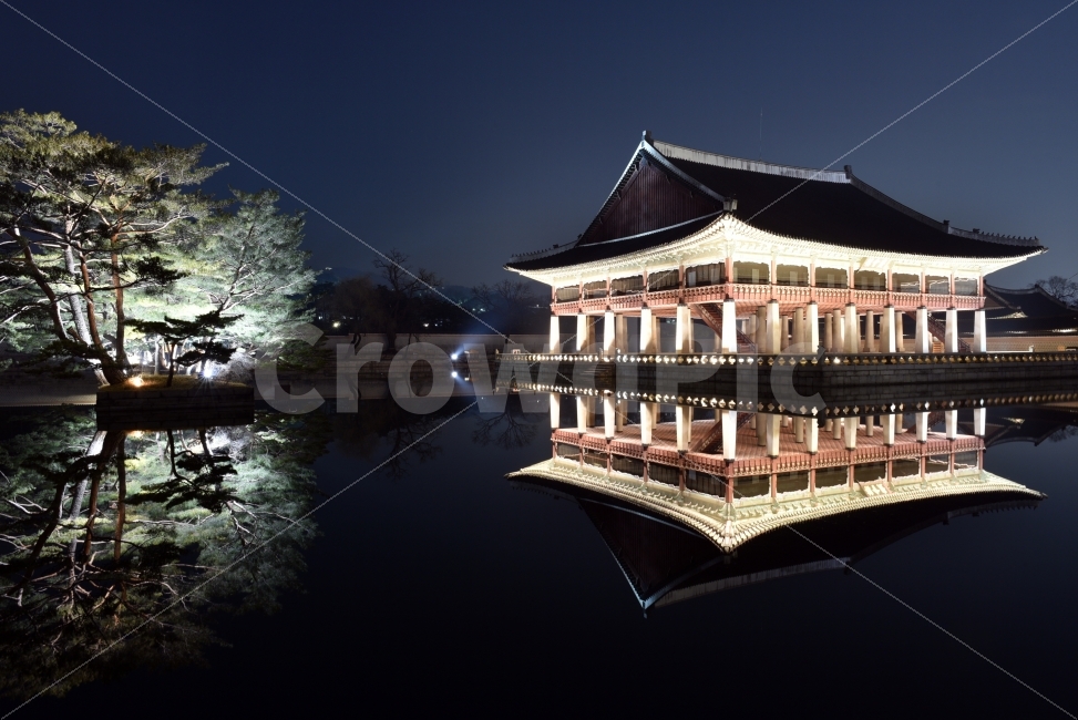 Nikon,D750,서울,경복궁,야간개장,야경,반영,경회루,나무,조명,야경,밤,풍경,nightscape,night,landscape,랜드마크,landmark,tourist attraction,한국전통,한국문화,korean traditional,korean culture,architecture,건축물,building,건물