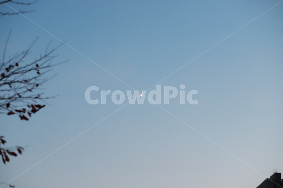 nature,자연,moon,달,tree,나무,야경,밤,풍경,nightscape,night,landscape