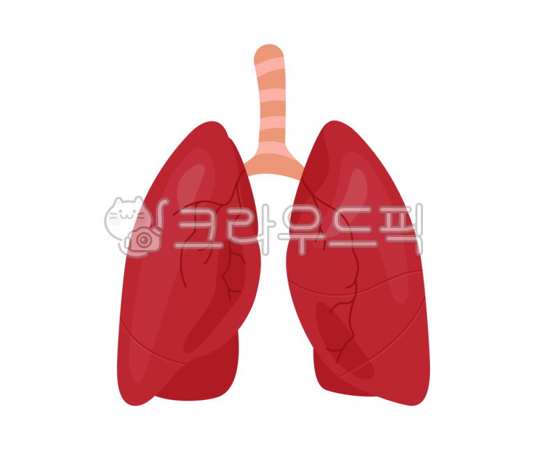 폐,장기,사람,기관,기관지,폐포,세포,공기,숨,일러스트,일러스트레이션,드로잉,디자인,핸드드로잉,배너,이벤트,프로모션,팝업,배너이벤트,배너디자인,프로모션디자인,모바일,모바일디자인,어플,디자인소스,소스,디자인소스다운,그래픽,event,design,promotion,banner,popup,app,designsorce,drawing