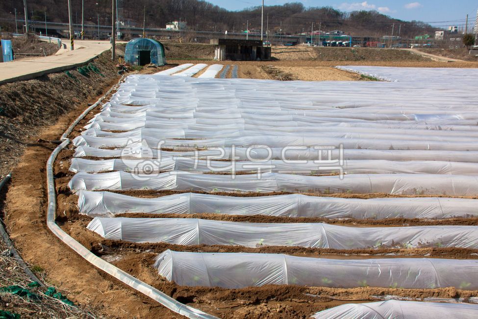 soil, 토양, outdoors, 옥외, nature, 사진,이미지,일러스트,캘리그라피 - studio H작가