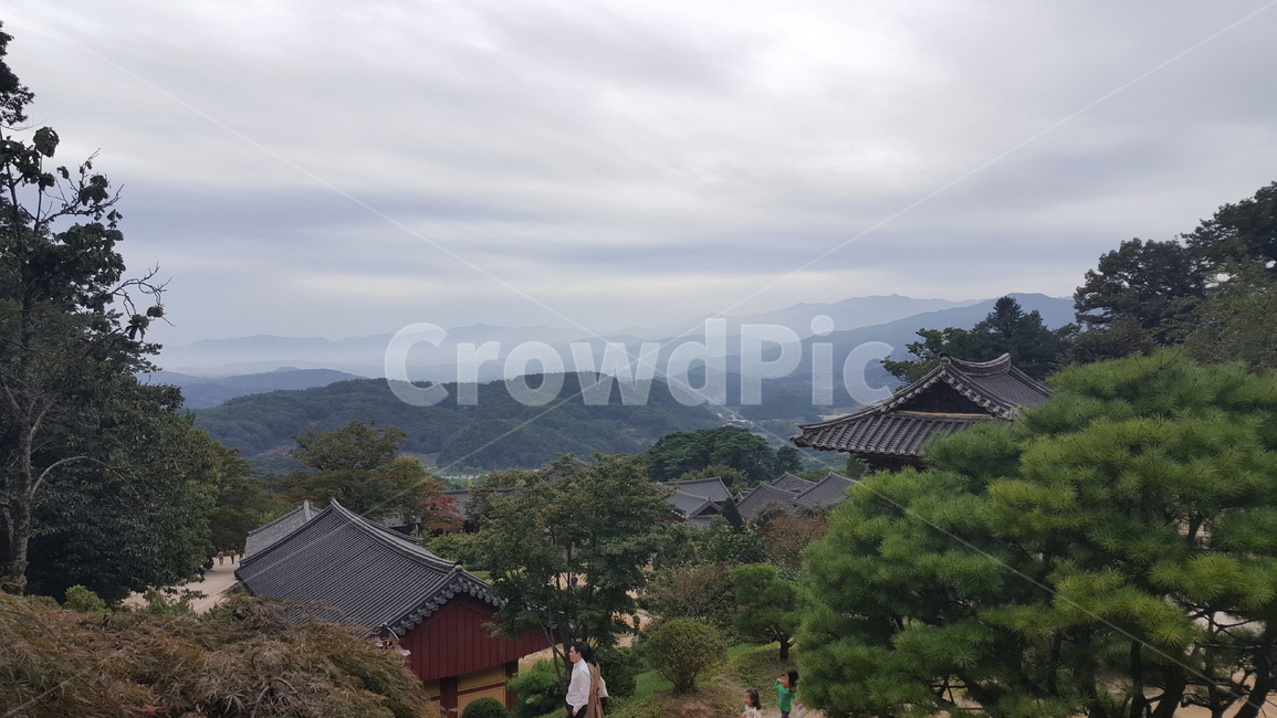 영주,부석사,경치,사찰,나무,절경