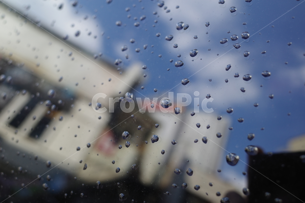 빗방울,비,반영,rain,raindrop,비,비오는날,rain,rainy,텍스처,질감,패턴,texture,pattern