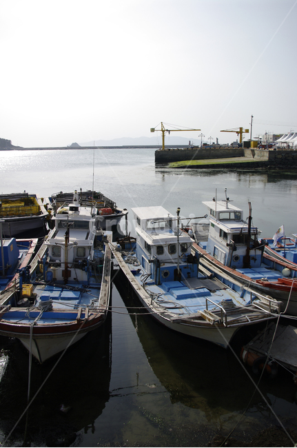 바다,섬,배,어선,어촌,정박,산업,industry,industrial,어업,fishery,fishing industry