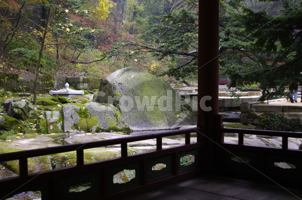 옥류천,소요암,소요정,창덕궁후원,나무,식물,plant,한국전통,한국문화,korean traditional,korean culture