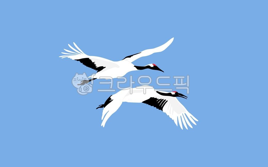 새, 학, 두루미, 날개, 철새, 사진,이미지,일러스트,캘리그라피 - WildTraveler작가