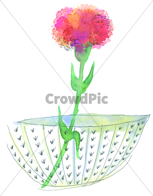 plant,식물,그림,물감그림,카네이션,어버이날,선물,마음,기쁨,행복,꽃,꽃그림,카네이션그림,손그림,carnation,꽃,flower,그래픽,일러스트레이션,graphic,illustration