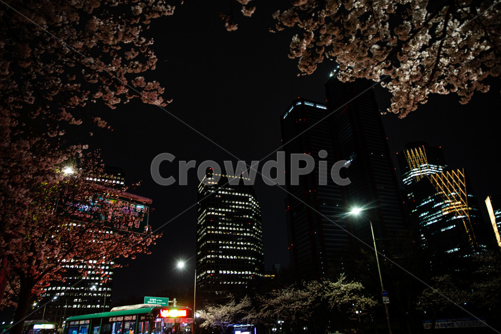 springnightview,cherryblossoms,yeouidobuildings,봄,야경,한강공원,여의도빌딩,건물,빌딩,벚꽃