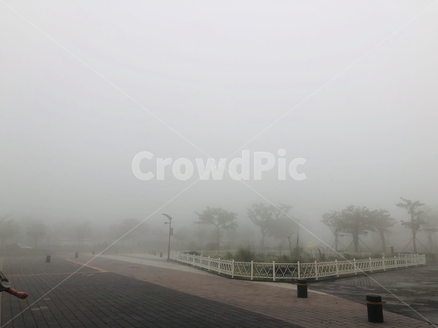 nature,자연,weather,날씨,안개,fog,옥외,outdoors,제주도,제주도날씨
