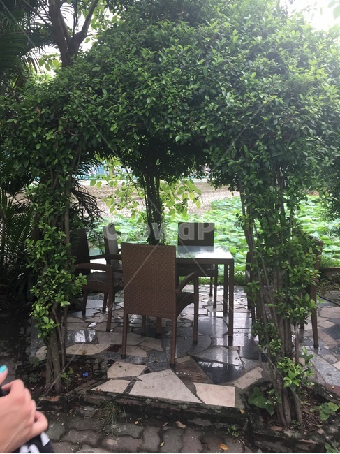 chair,patio,arbour,porch,정자,정원,garden