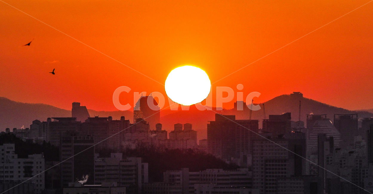 서울,일출,남산,갈대공원,태양,도시,풍경,city,landscape,한국도시풍경,한국도시경관,korea cityscape,nature,자연,outdoors,옥외,sky,하늘,red sky,붉은 하늘,sunset,일몰,dawn,새벽,dusk,황혼
