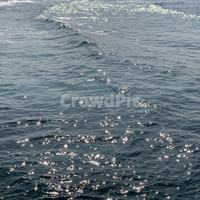 제주,제주도,제주바다,바다,해변,자연,풍경,nature,landscape,water,물,outdoors,옥외,sea,ocean,대양