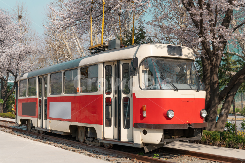 기차,열차,교통,트램,기차역,빈티지,화랑대,화랑대역,봄,train,transportation,tram,station,vintage,복고,교통,교통수단,traffic,transportation