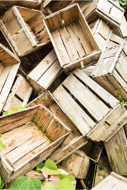 chest,old,tree,mold,To stack up,apple box,desolate,background,complicated,wooden box,quiet,abandoned,fruit box
