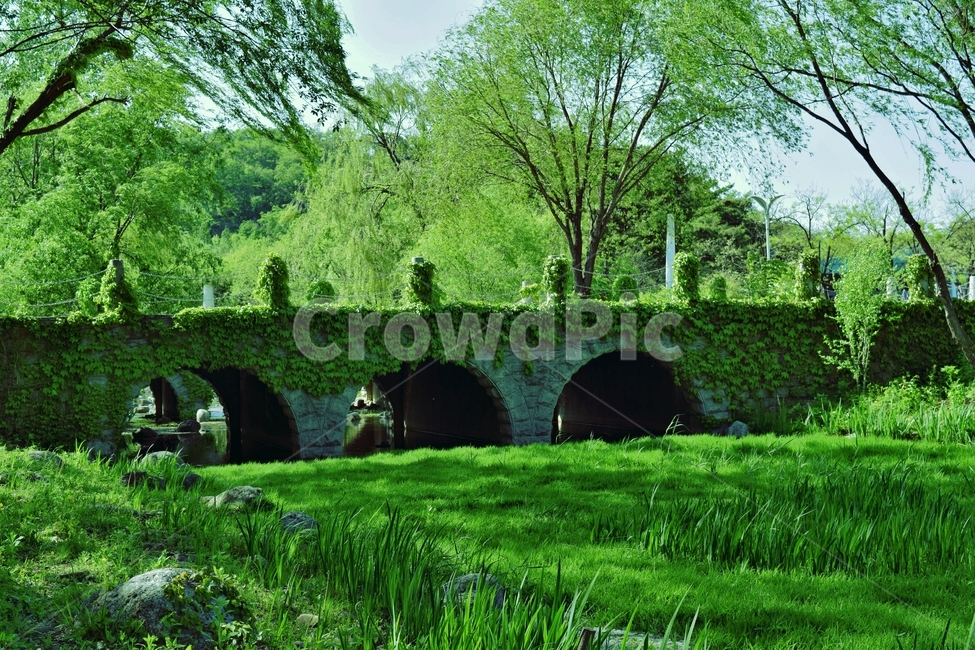 자연,초록,풍경,올림픽공원,하늘공원,여름,계절,summer,season,자연,풍경,nature,landscape,green