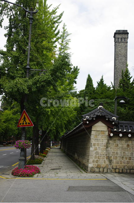 나무,길,기와지붕,담장,거리,한국전통,한국문화,korean traditional,korean culture,건축물,건물외관,exterior,building,structure,architecture,construction