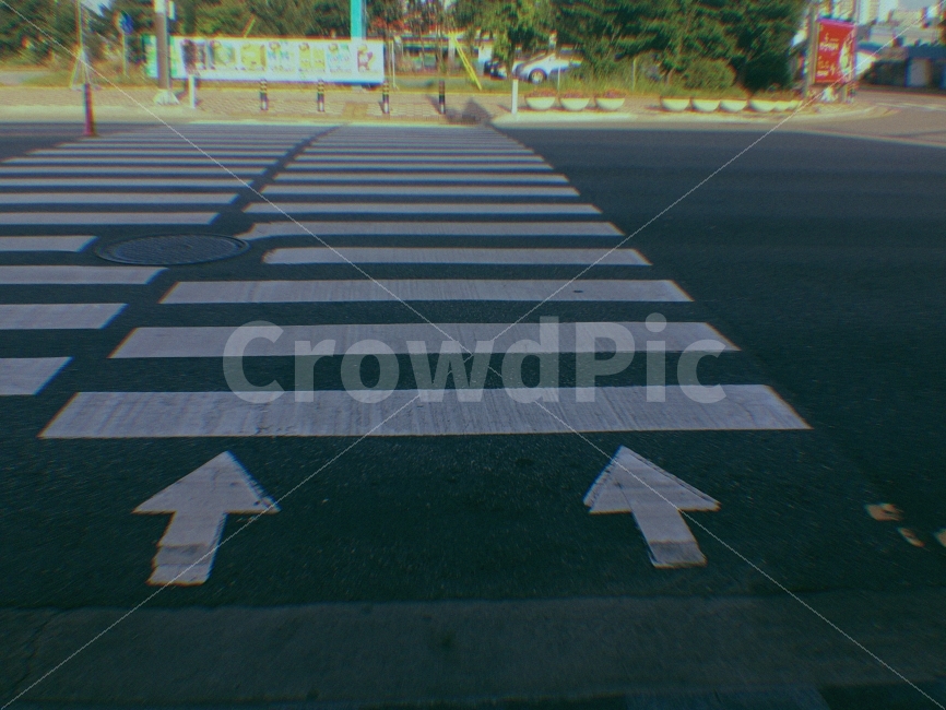 신호등,길,도로,도시,횡단보도,필터,필터사진,아침,화살표,교통,교통수단,traffic,transportation,asphalt,아스팔트,road