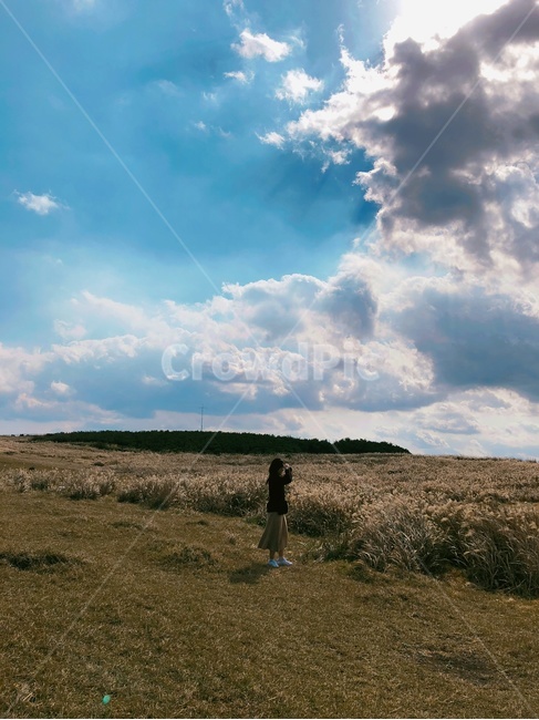 제주도,마라도,갈대밭,가을,구름,풍경,배경,자연,풍경,nature,landscape,outdoors,옥외,weather,날씨