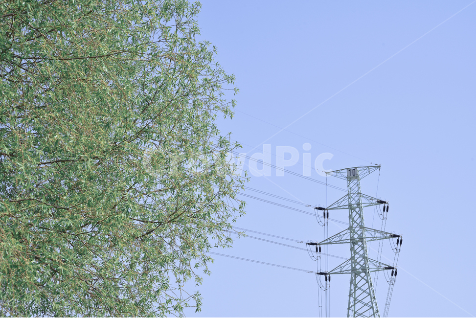 나무,하늘,송전탑,송전선,전기,파랑,전력,sky,tree,electricpower,electricity,powerline,blue,감성,sensible,feeling,색깔,색상,색채,색감,color sense,color sensitivity,feeling of color,산업,industry,industrial,에너지산업,energy industry