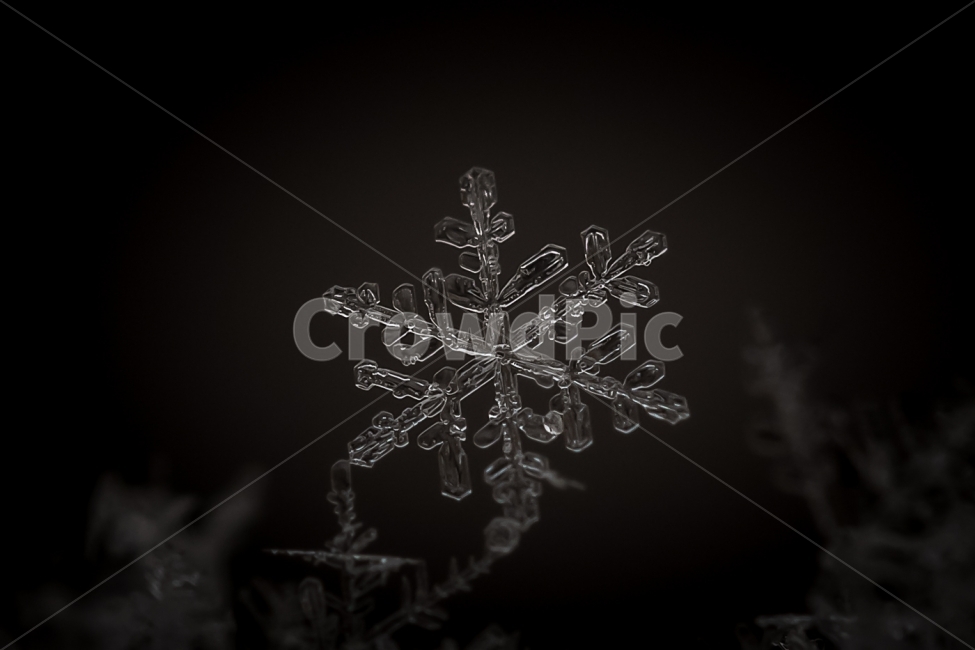 자연,풍경,겨울,눈,눈결정,접사,nature,landscape,winter,snow,crystal,macro,겨울,계절,winter,season
