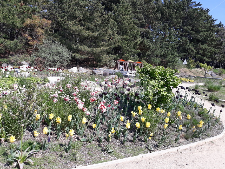 만리포해수욕장,천리포수목원,수목원,꽃,경치