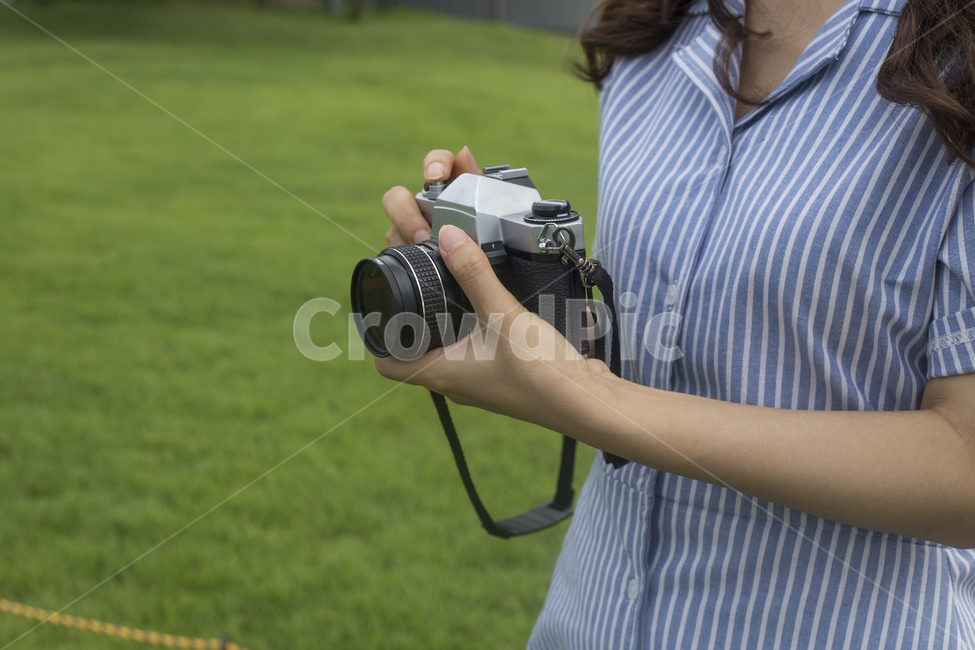 카메라,필름,필름카메라,빈티지,레트로,아날로그,촬영,포토그래퍼,사진작가,작가,사진촬영,여자,원피스,스트라이프,잔디밭,여성,여자,woman,female,lady,사진작가,포토그래퍼,photographer