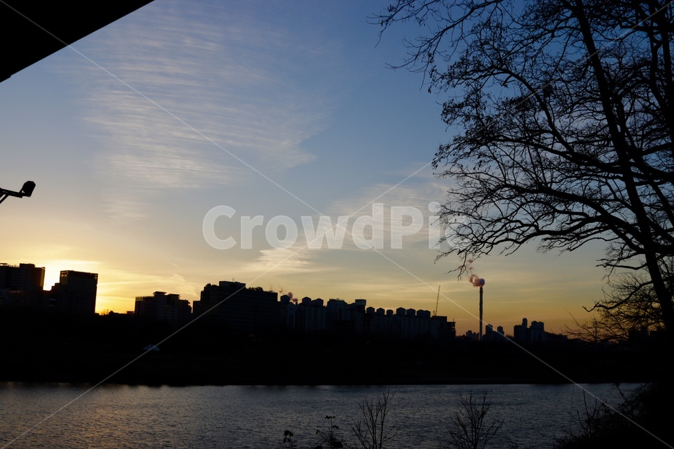 억새,노을,풍경,고독,정취,도시,풍경,city,landscape,한국도시풍경,한국도시경관,korea cityscape,실루엣,그림자,silhouette,shadow,nature,자연,outdoors,옥외,dawn,새벽,red sky,붉은 하늘,dusk,황혼,sunset,일몰,sky,하늘,sunlight,햇빛