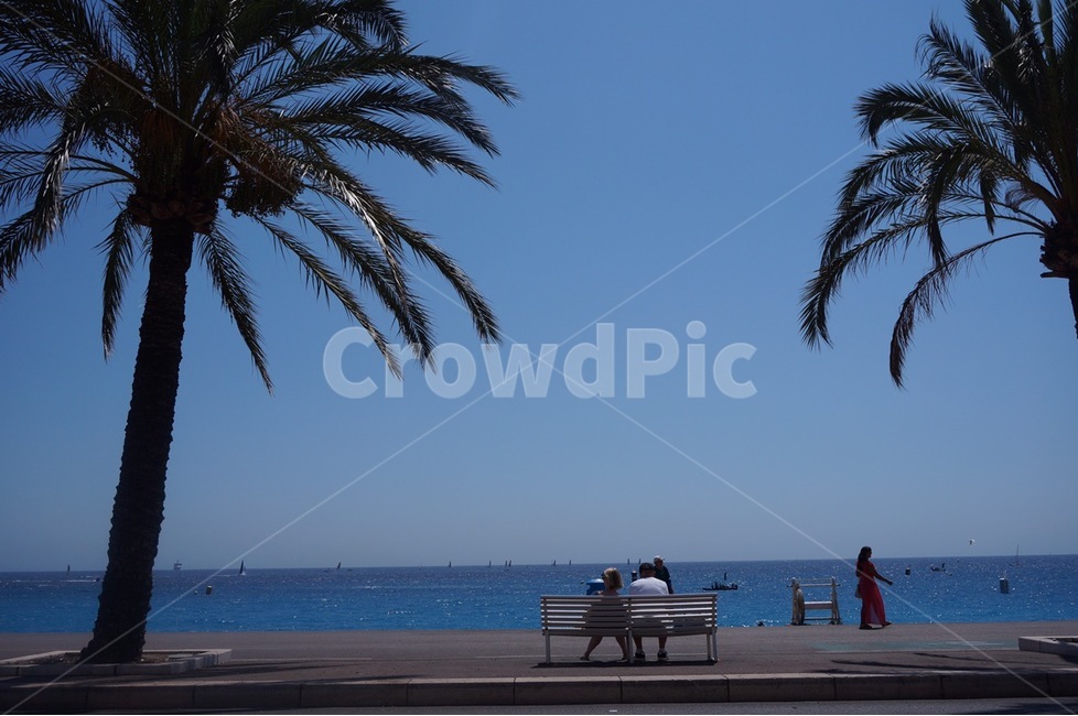 바다,야자수,나무,바닷가,니스,nice,길거리,도로,하늘,여름,sea,beach,tree,paris,파리,sky,풍경
