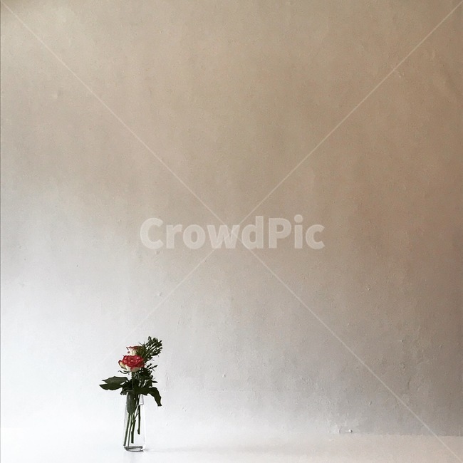 plant,식물,병장식,꽃,도기류,blossom,장식,미술