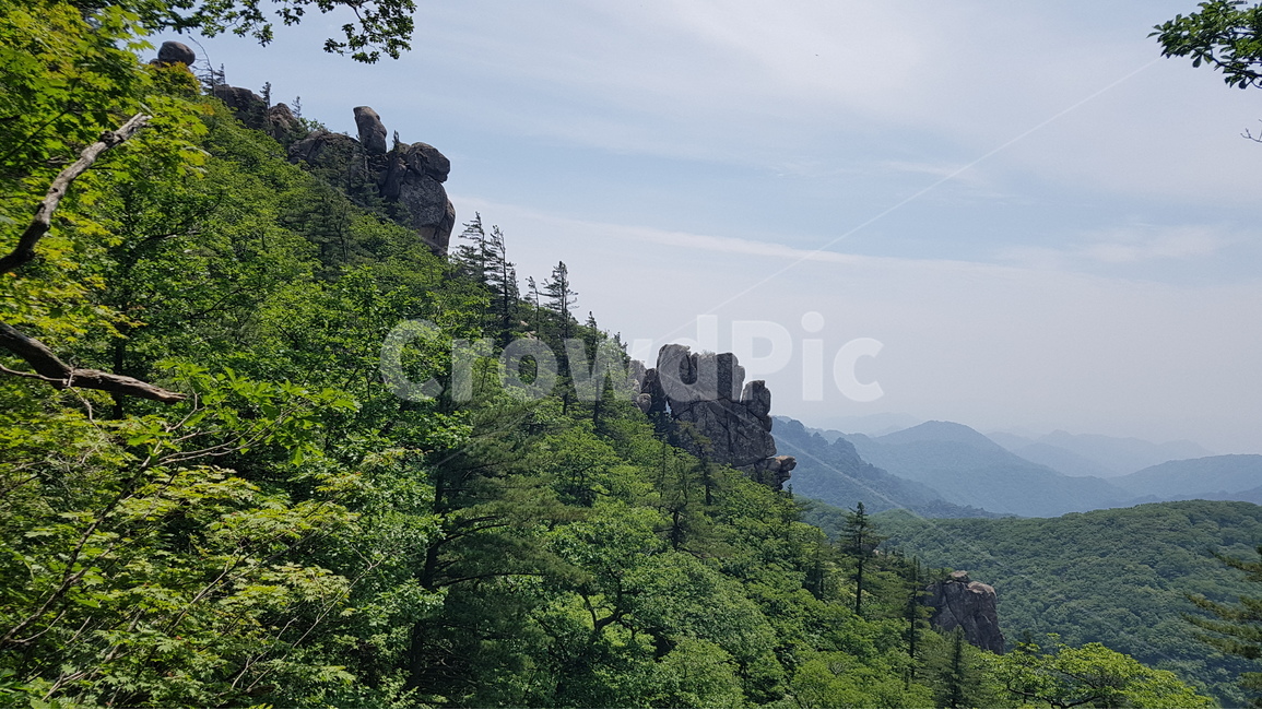 살악산,한계령,인제,서북능선,국립공원,자연,풍경,nature,landscape,tree,나무,plant,식물,fir,전나무,outdoors,옥외